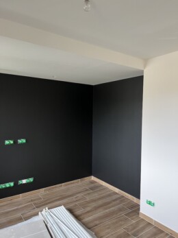Peinture intérieure à Condamine-la-Doye 01430